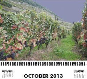 Travel Notes Wall Calendar