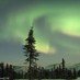 Send a tweet to Inside Alaska