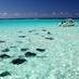 Send a tweet to the Cayman Islands Department of Tourism