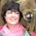 Send a tweet to Lyn Hughes
