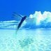 Send a tweet to Access Barbados
