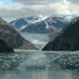Send a tweet to Alaska Travel