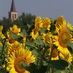 Send a tweet to Love Umbria