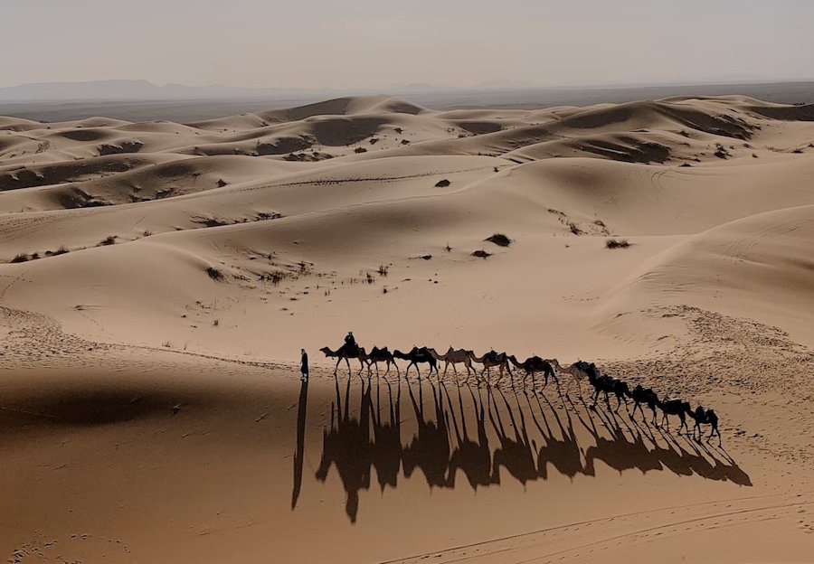 Sahara Desert