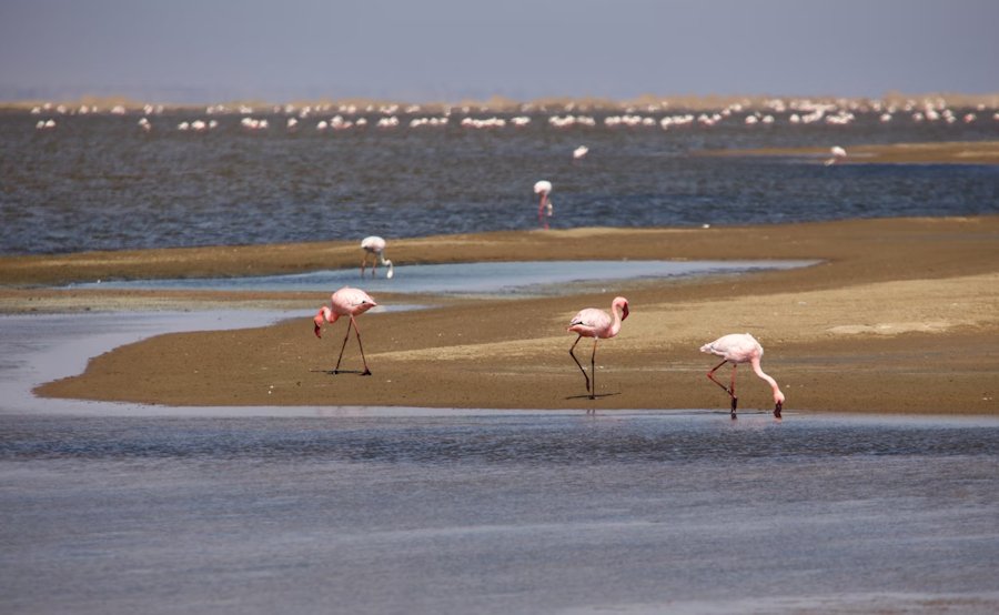 Walvis Bay, Namibia