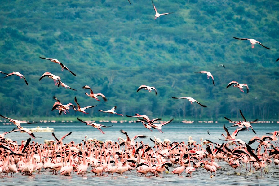 Nakuru, Kenya