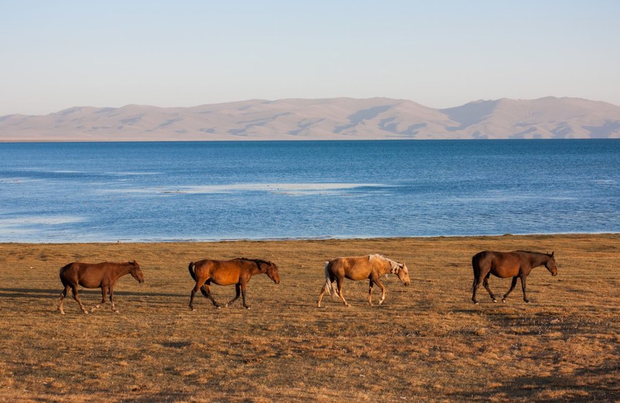 Kyrgyzstan