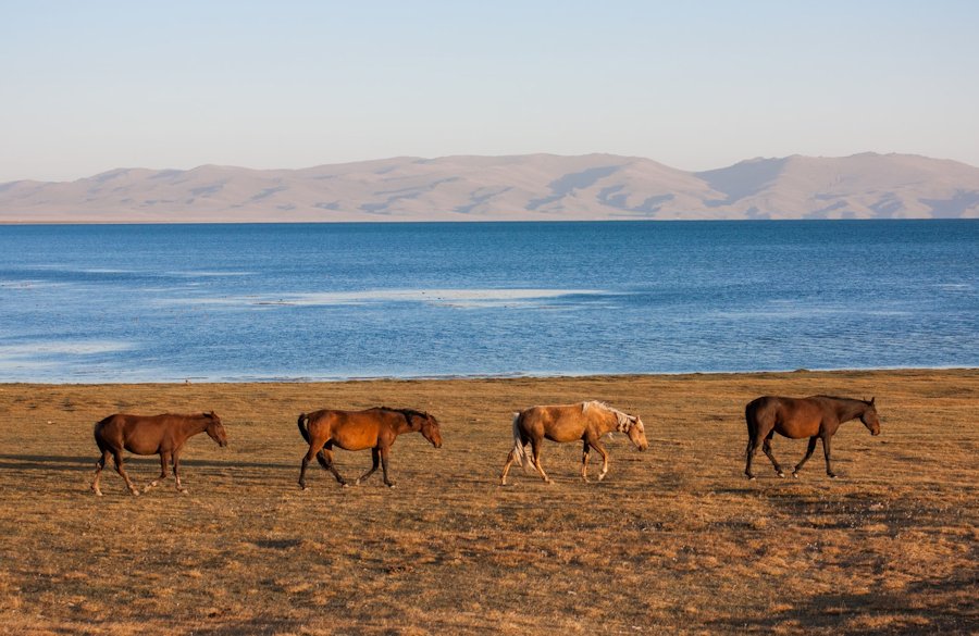 Kyrgyzstan