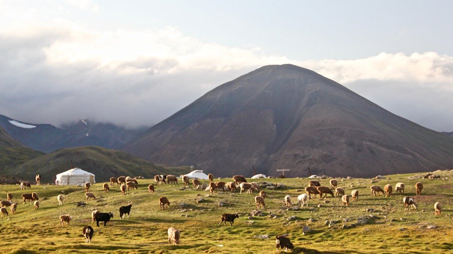 Altai Mountains, Western Mongolia