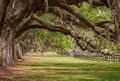 Boone Hall Plantation and Gardens