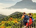 Bach Ma National Park