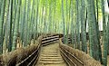 Arashiyama Bamboo Grove and Tenryu-ji Temple