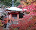 Daigo-ji Temple