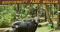 Mollem National Park