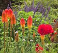 Christchurch Botanic Gardens