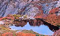 Cradle Mountain - Lake St Clair National Park