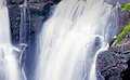 Gondwana Rainforest and National Parks