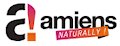 Visit Amiens