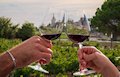 Saint-Emiliion Vineyards - Exceptional Wines