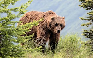 Anchorage Travel Guide