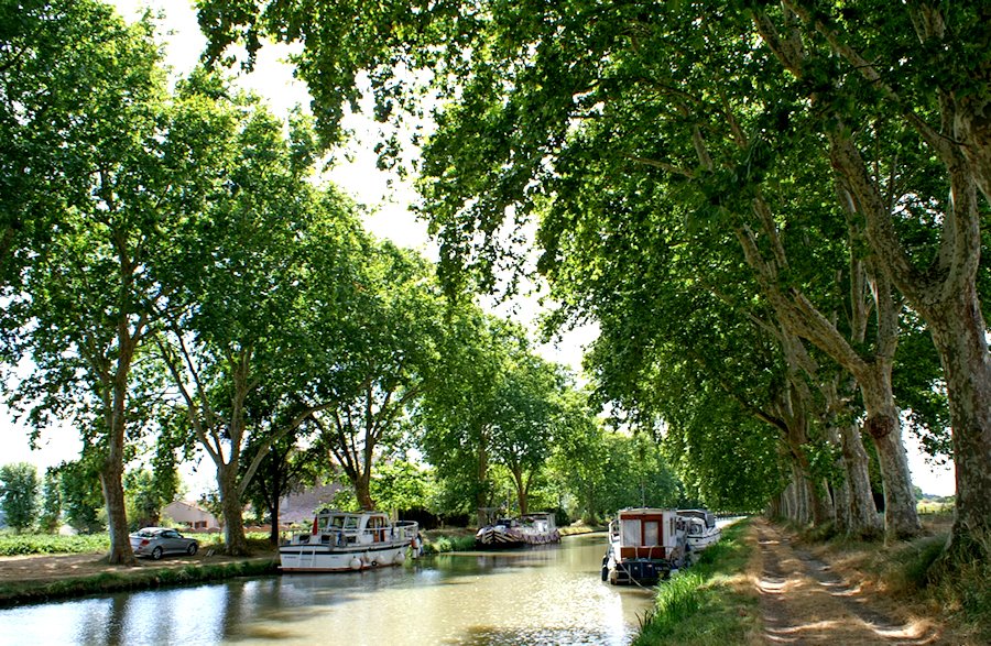 Canal du Midi