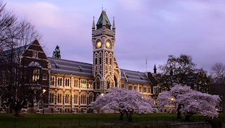Dunedin Travel Guide