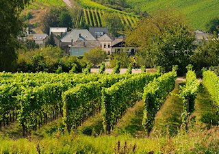 Luxembourg Moselle Travel Guide