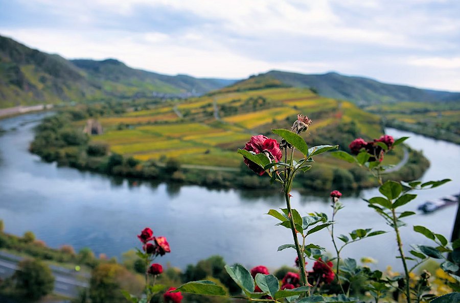 Moselle River Bend