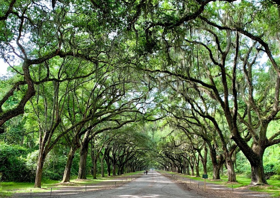 Savannah, Georgia