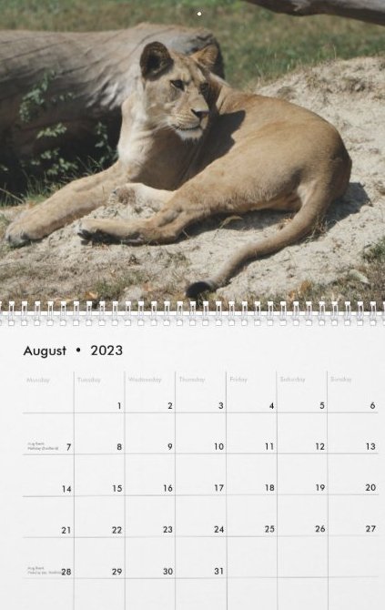 Travel Notes Wall Calendar - August