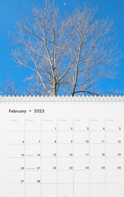 Travel Notes Wall Calendar - February