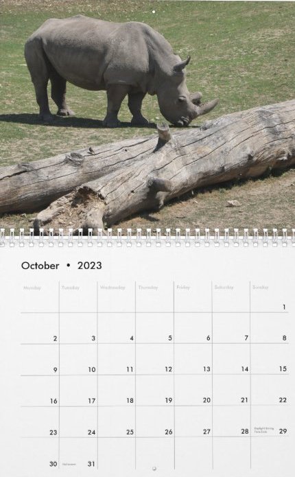 Travel Notes Wall Calendar - October