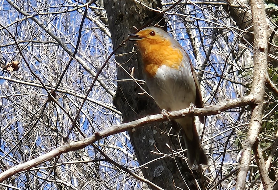 2026 Travel Notes Calendar