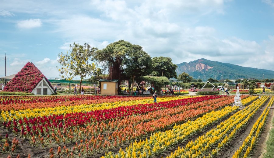 Taiwan Landscape