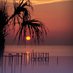 Send a tweet to The Beach is Calling